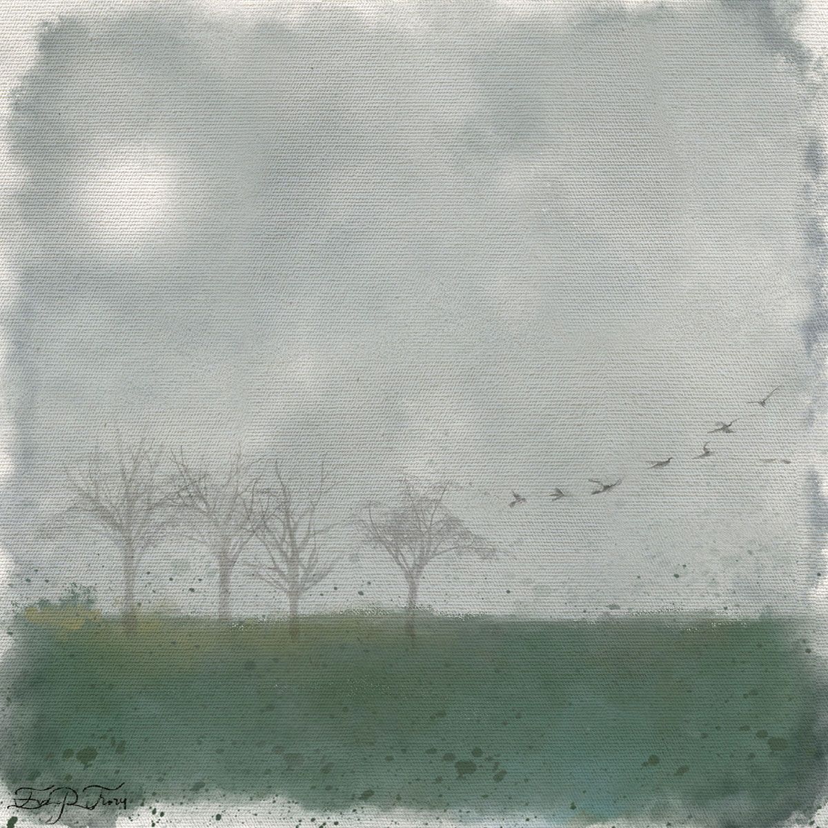 Niebla