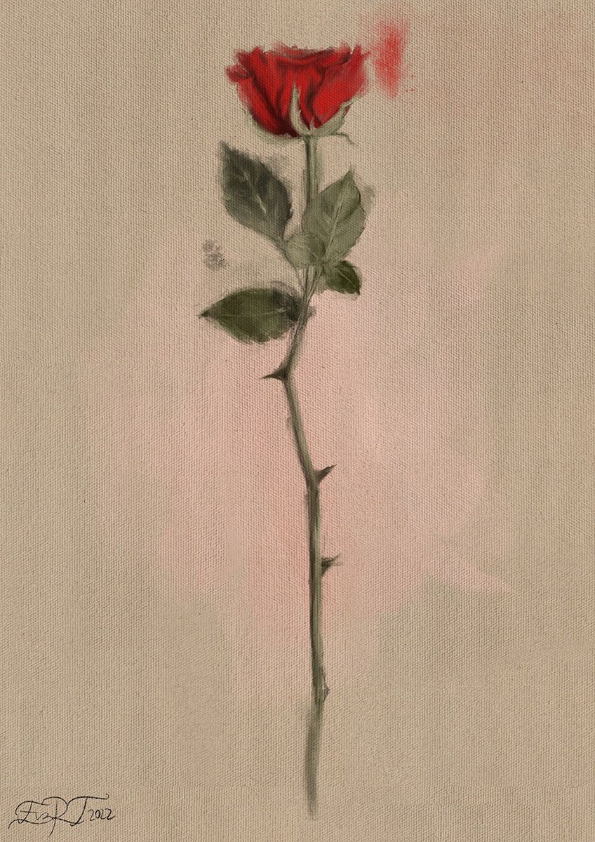 Rosa
