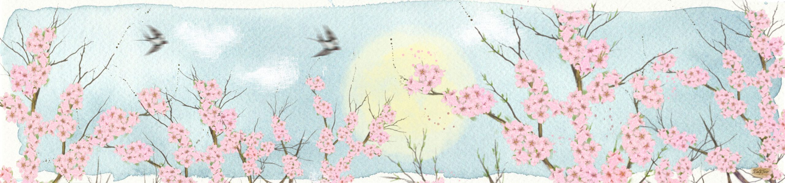 Primavera en flor
