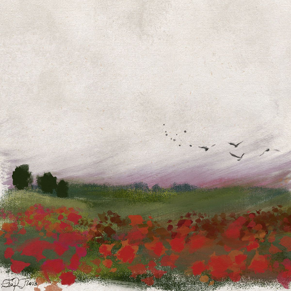 Amapolas rendidas