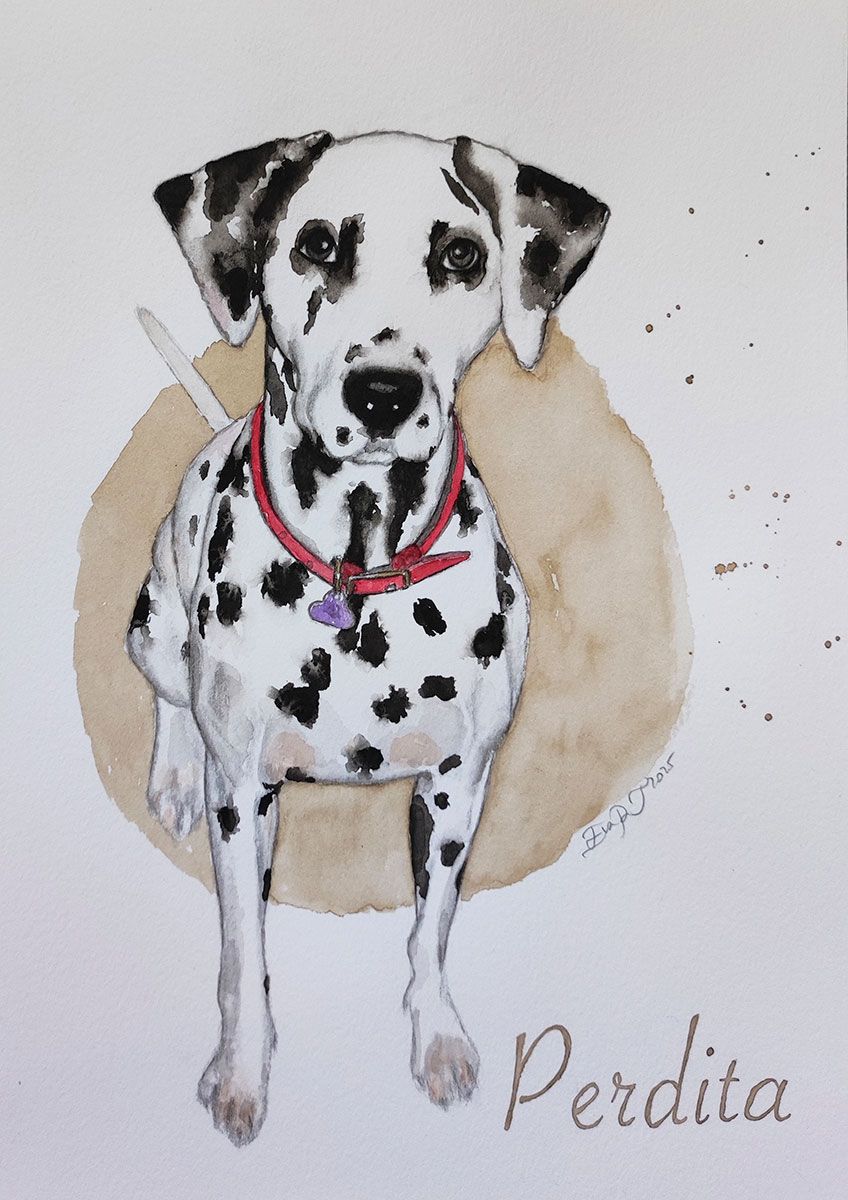 Perdita