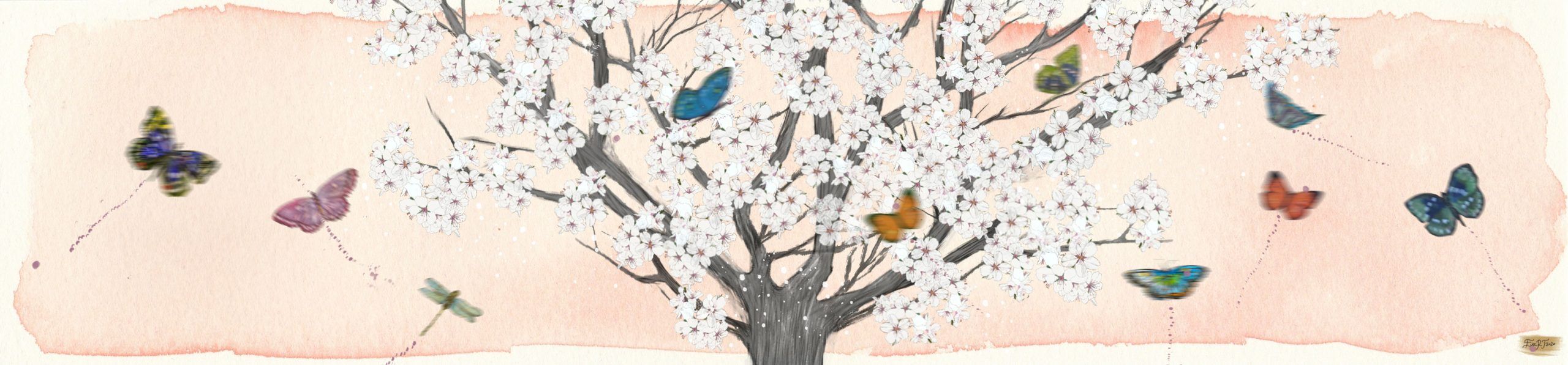 Mariposas en primavera
