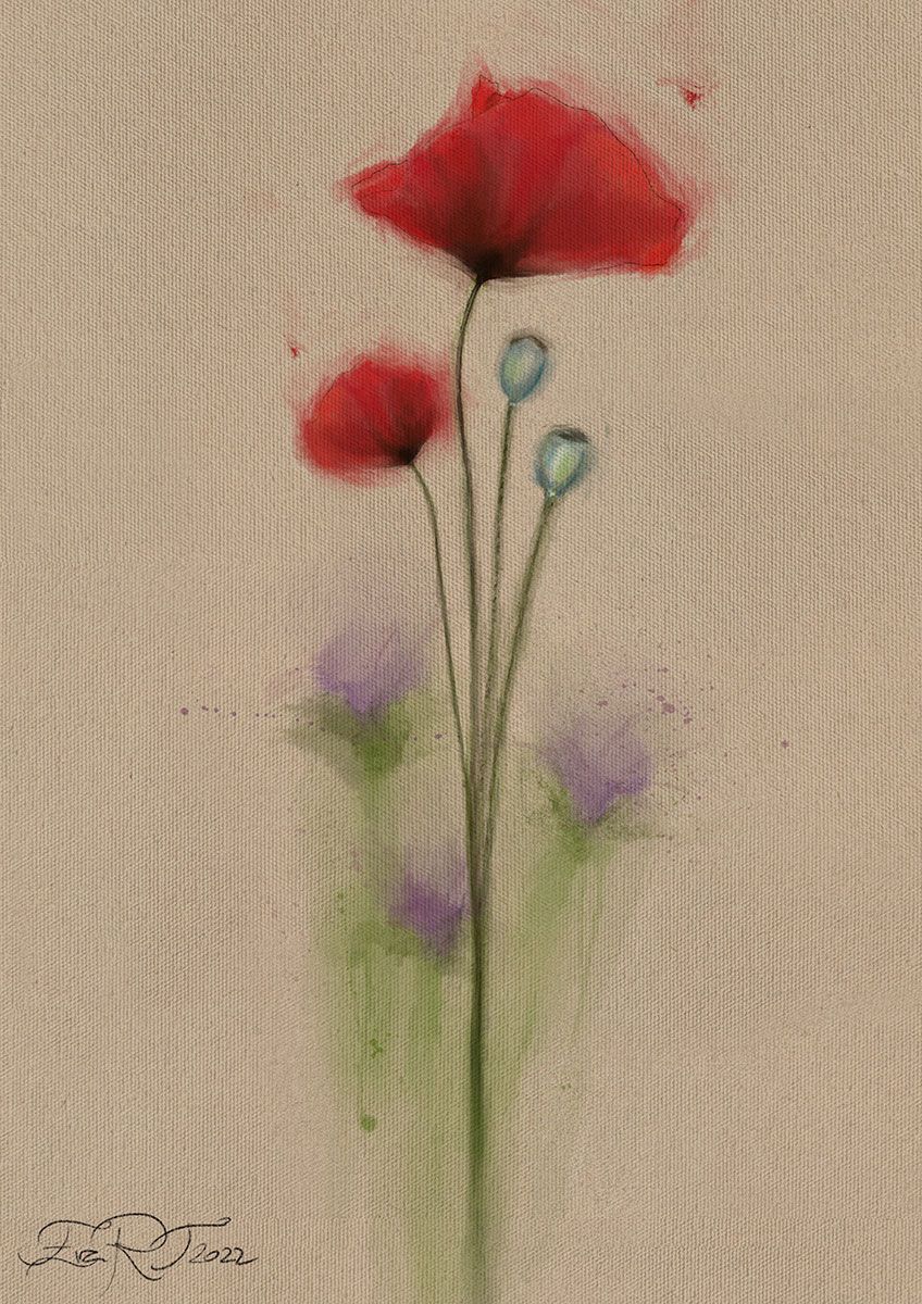 Amapola